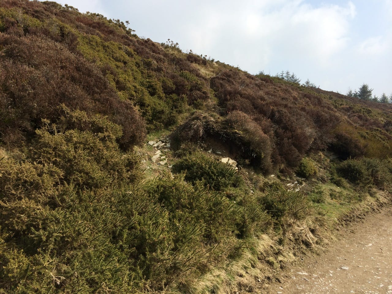 Shortcut Clues in the Clwydian Range The Natural Navigator