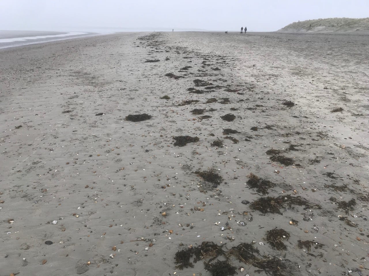 Beach Stripes The Natural Navigator