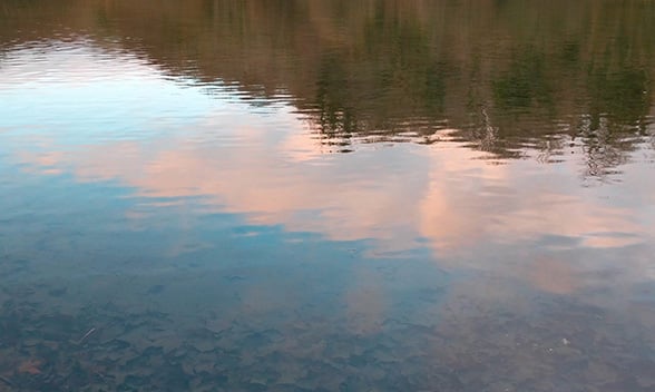 How To Read Water