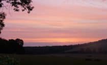 Dawn across a field