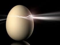 egg and light