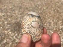 pebbles on the beach