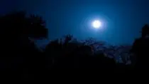 Full moon on the south downs way