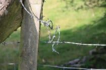 Barbed wire fence