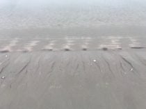 A photo of the sand at the beach with mounds making stripes