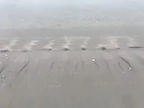 A photo of the sand at the beach with mounds making stripes