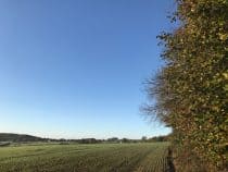 Blue sky rayleigh scattering
