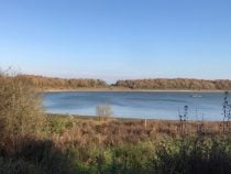A lake with a cats paw from a gust of wind on the surface