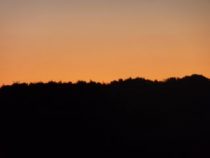 orange sky at dawn
