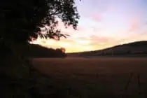 Dawn field