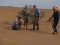 Stick in the desert for navigation