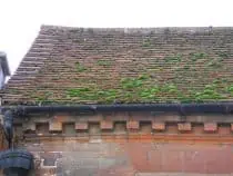 Green moss on Chichester roof
