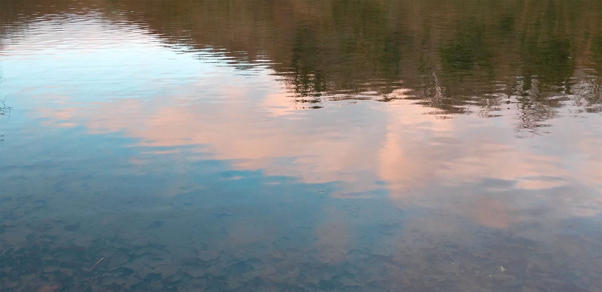 Photo of Tree and sky reflected in water