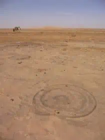 Fossil in Libyan Sahara