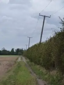 Leaning telegraph poles