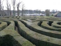 Longleat Maze Natural Navigation