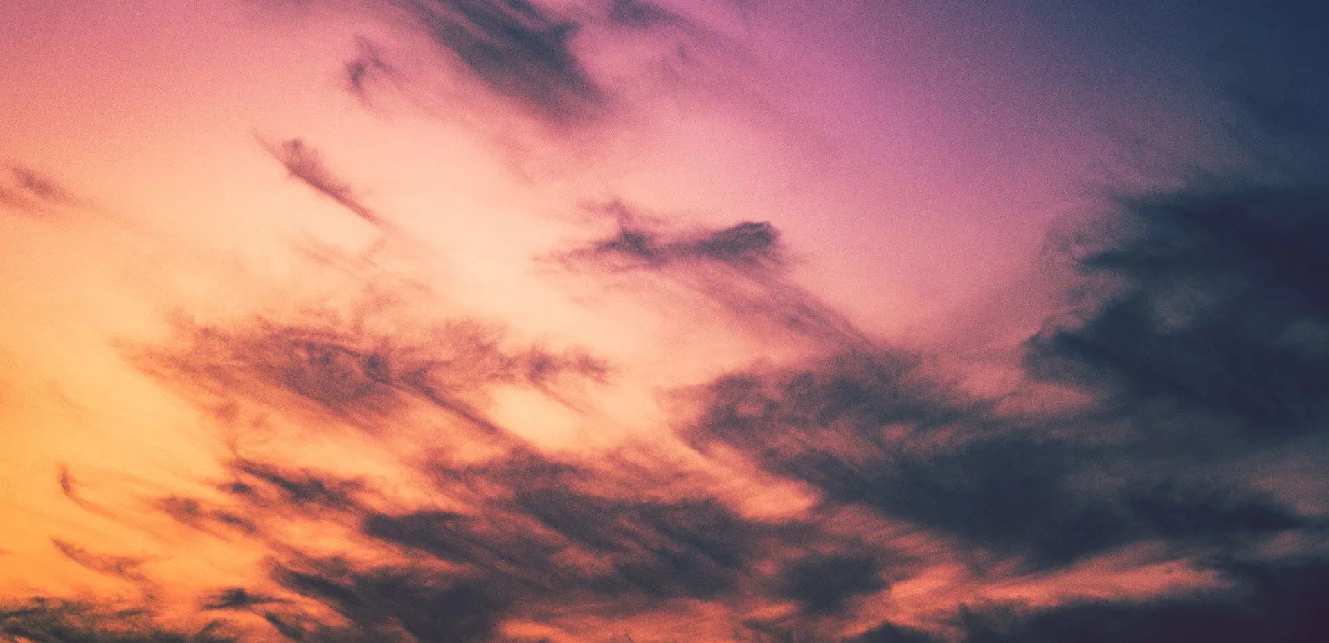 Photo by Dewang Gupta on Unsplash
