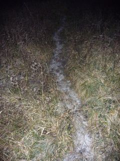 Path with frost at night