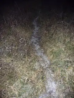 Path with frost at night