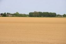 Nutbourne marshes field