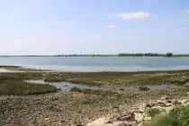 Nutbourne marshes wind lee effect
