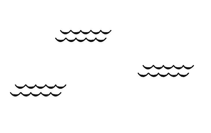 Race Rock Tide Chart