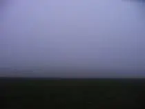 Radiation Fog