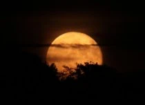 A rising supermoon
