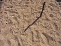 Shadow stick in the sand