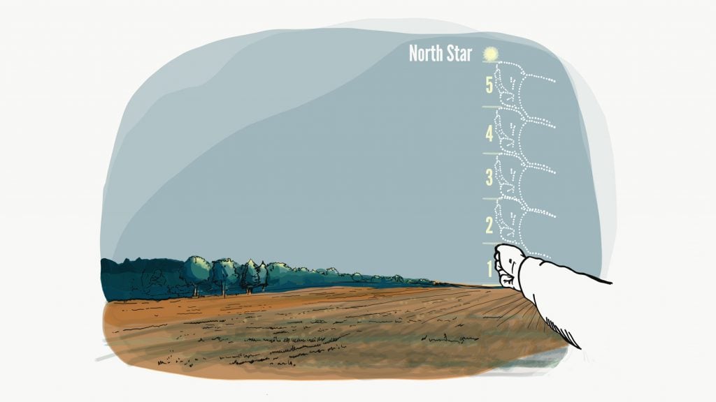 North Star illustration