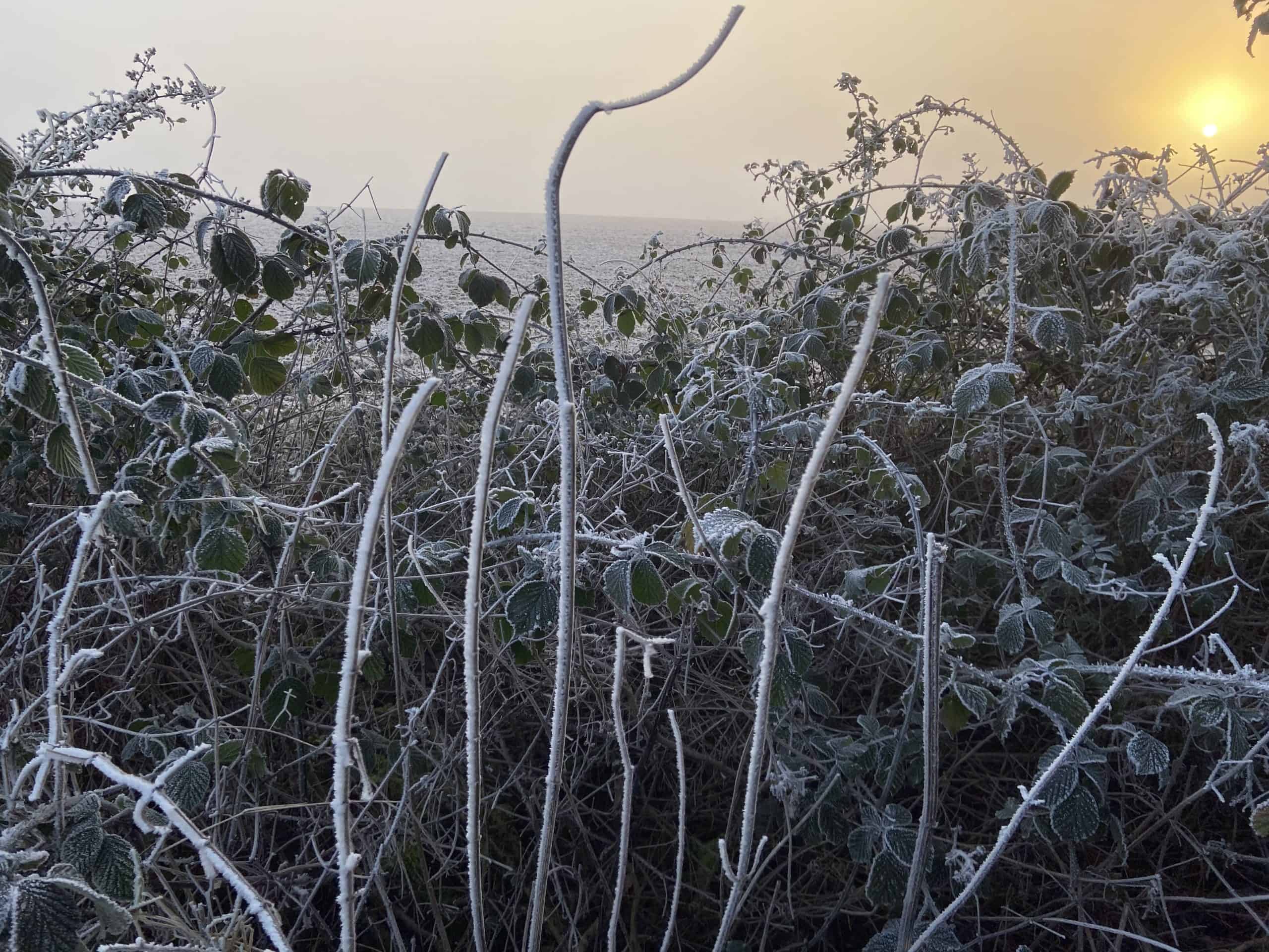 Reading Ice Patterns and Compasses - The Natural Navigator