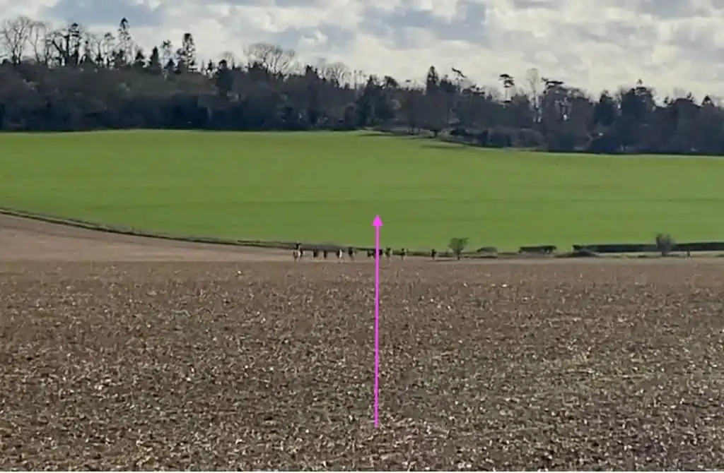 Deer flight behaviour
