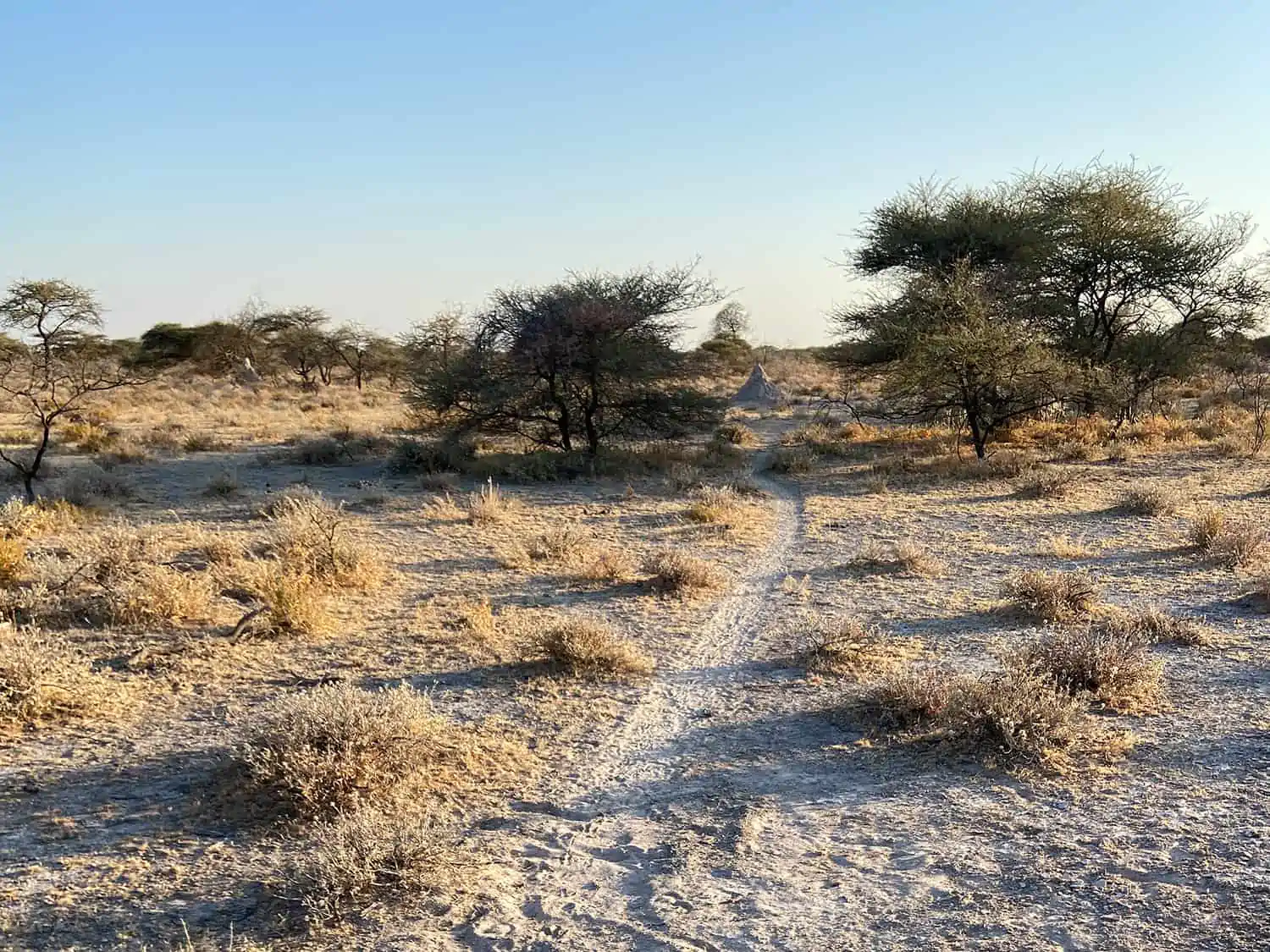 Trail in Namibia