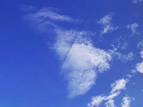 How To Navigate Using The Sun The Natural Navigator
