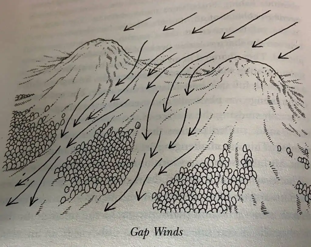 What is a Gap Wind? The Natural Navigator