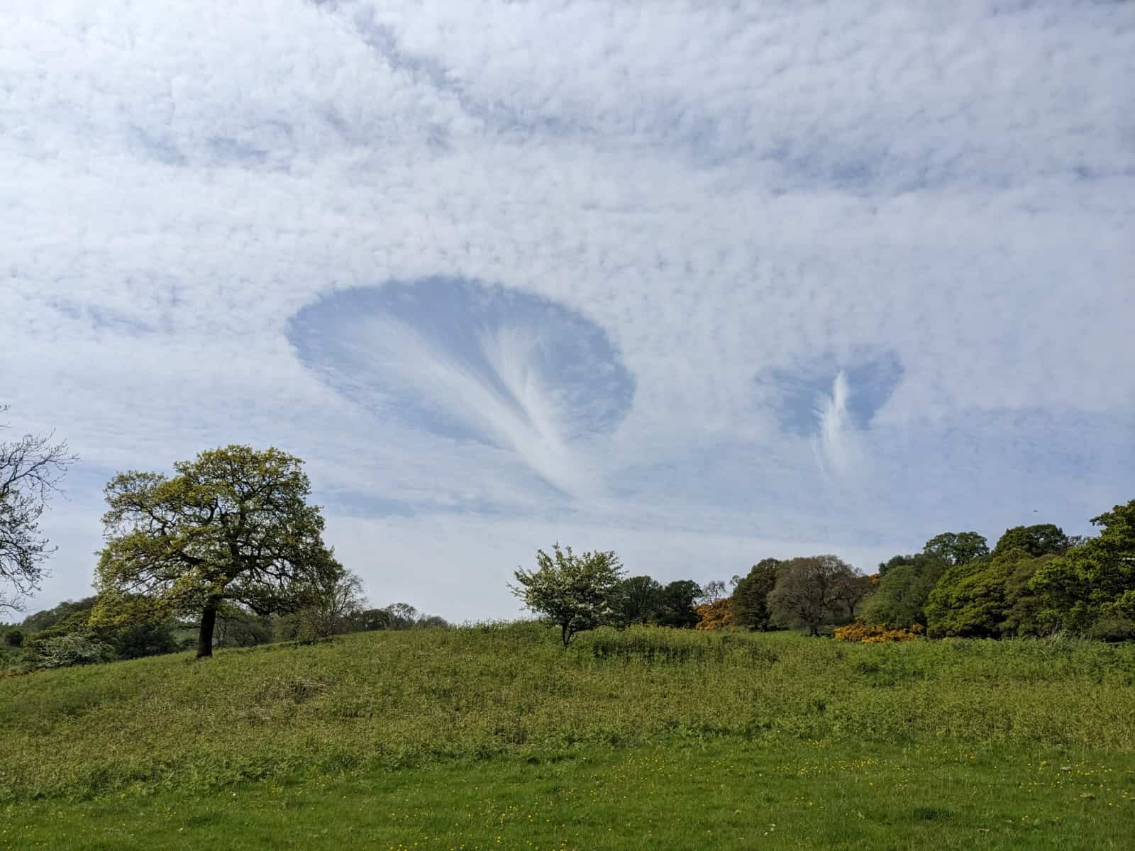 What are Fallstreak Holes in Clouds? The Natural Navigator